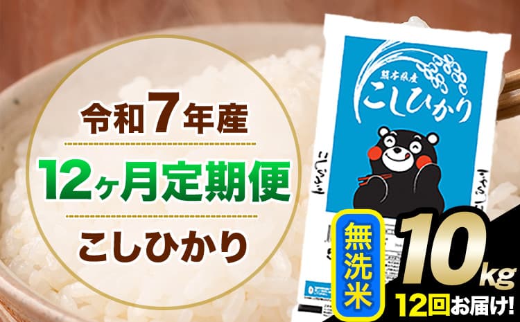 【12ヶ月定期便】令和7年産 定期便 こしひかり 無洗米 定期便 10kg 5kg×2袋 精米 熊本県産(南阿蘇村産含む) 単一原料米 南阿蘇村《お申込み翌月から出荷》---kh7tei_218000_10kg_mo12_mna_m---