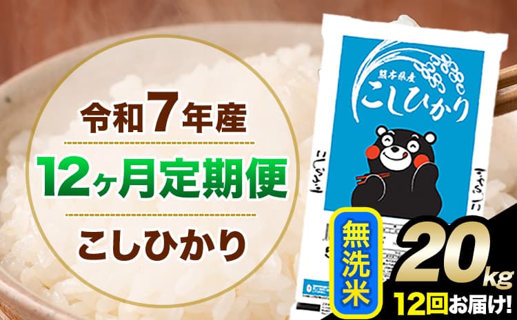 【12ヶ月定期便】令和7年産 定期便 こしひかり 無洗米 定期便 20kg 5kg×4袋 精米 熊本県産(南阿蘇村産含む) 単一原料米 南阿蘇村《お申込み翌月から出荷》---kh7tei_434000_20kg_mo12_mna_m---