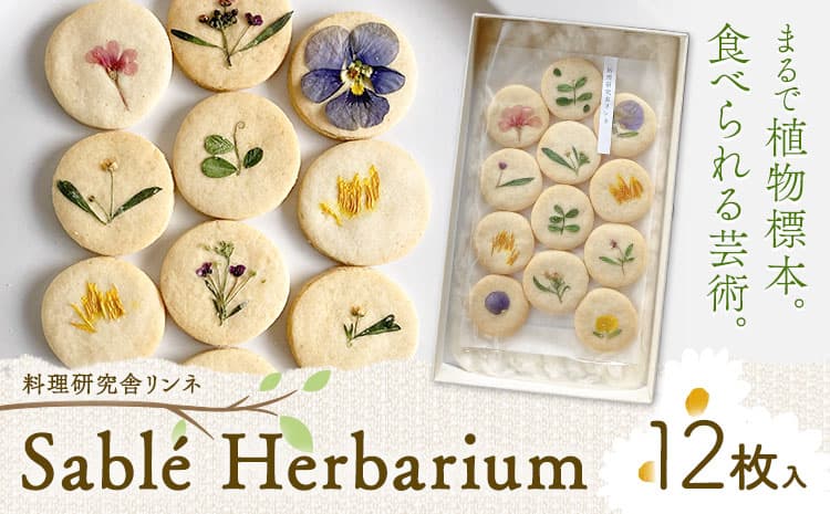 Sable Herbarium 12枚入り 料理研究舎リンネ《30日以内に出荷予定(土日祝除く)》熊本県 南阿蘇村 サブレハーバリウム サブレ グルテンフリー 米粉 エディブルフラワー カモミール クッキー 焼菓子 焼き菓子 お菓子 贈り物 プレゼント ギフト---mna_rkrsahebrm_r7_30d_8000_12p---