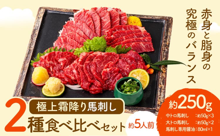 馬刺し 極上 霜降り 2種 食べ比べ セット 株式会社利他フーズ《30日以内に出荷予定(土日祝除く)》 中トロ 大トロ 国産 冷凍 生食用 肉 馬肉 ふるさと納税馬刺し 熊本県 南阿蘇村 送料無料 馬刺 ばさし 名物---isms_rita05_30d_r7_21000---