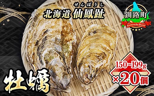 北海道 仙鳳趾名産 牡蠣 150g~199g×20コ+かきナイフ付き かき漁師直送 K3-4 【センポウシ : 釧路町の東 厚岸湾の西 カキの名産地】 仙鳳趾 せんぽうし 牡蠣 生食用 殻付き 生牡蠣 絶品 産地直送 殻付き牡蠣 北海道 釧路町 釧路超 特産品