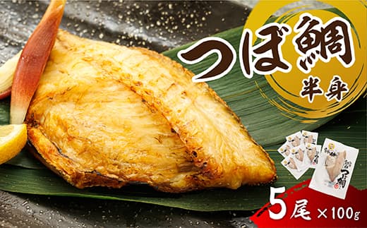 干物界の最高級魚 厳選した つぼ鯛 半身(100g×5尾)| ツボダイ ツボ鯛 一夜干し 干物 ひもの 魚干物 つぼだい 無添加 小分け 個包装 白身魚 焼魚 焼き魚 魚 冷凍 スピード発送 すぐ届く 魚干物 海鮮 絶品 人気 笹谷商店 直営 釧之助本店 せんのすけ 高級 すぐ発送 北海道 釧路町 釧路超 特産品