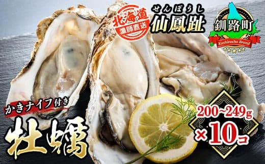 北海道 仙鳳趾名産 牡蠣 200g~249g×10コ+かきナイフ付き 漁師直送K4-5 【センポウシ : 釧路町の東 厚岸湾の西 カキの名産地】 仙鳳趾 せんぽうし 牡蠣 生食用 殻付き 生牡蠣 絶品 産地直送 殻付き牡蠣 北海道 釧路町 釧路超 特産品