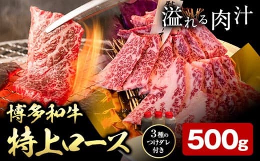 博多和牛 ロース 特上 500g 株式会社寛大グループ 《30日以内に出荷予定(土日祝除く)》 肉 福岡県 小竹町 にく---ktk_fkn_6_500g---