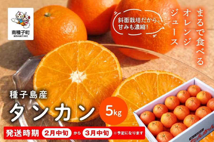 《 先行予約 》種子島産タンカン約5kg(24玉~30玉)【2月中旬~3月中旬頃順次発送】