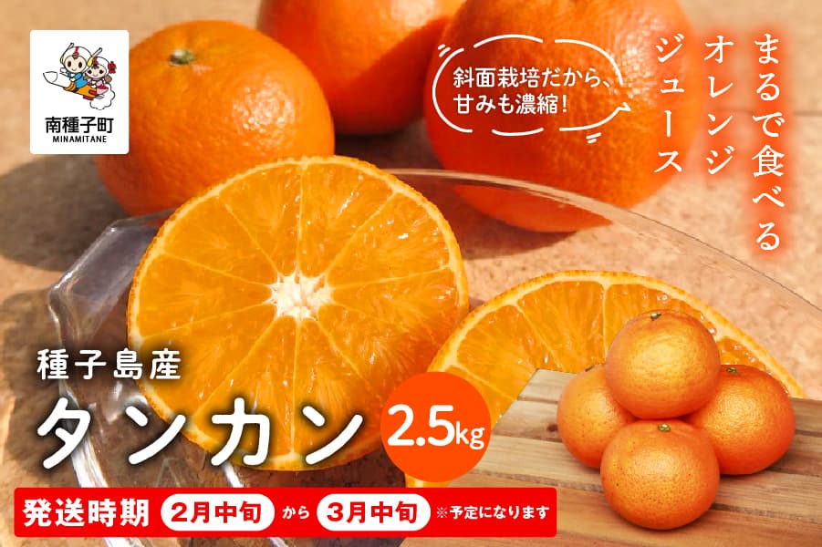 《 先行予約 》種子島産タンカン約2.5kg(12~18玉)【2月中旬~3月中旬頃順次発送】