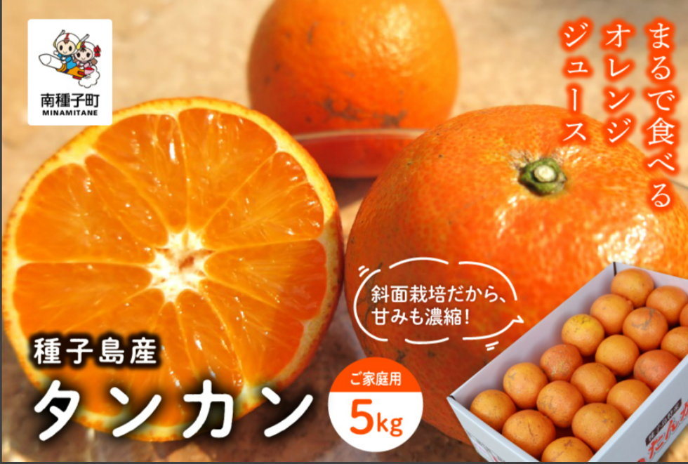 《 先行予約 》【2027年2月中旬 3月中旬頃順次発送】種子島産タンカン(ご家庭用) 5kg(24玉~36玉)
