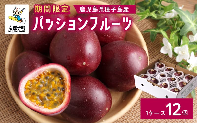 《令和8年度》 種子島産パッションフルーツ 1ケース ( 12個入り ) パッションフルーツ 果物 フルーツ 食品 グルメ お取り寄せ お中元 人気 おすすめ 返礼品 南種子町 鹿児島 かごしま 【有限会社新栄物産】