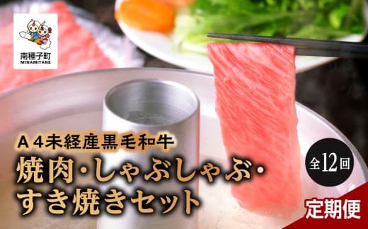 【定期便】焼肉・しゃぶしゃぶ・すき焼きセット(全12回)