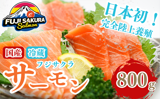 1B6【日本初:完全陸上養殖】「 フジサクラサーモン 」【 生 ・冷蔵】800g