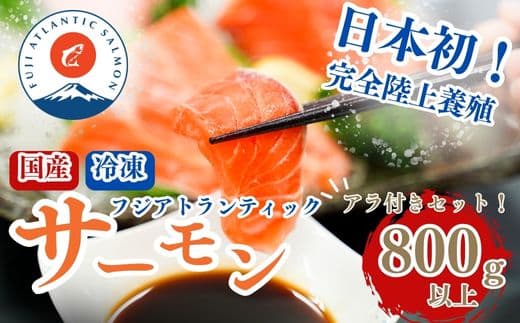 10B8【日本初:完全陸上養殖】小山町産 アトランティックサーモン【冷凍】800g +アラ付きセット