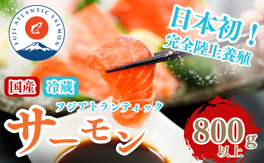 2B7【日本初:完全陸上養殖】「 フジアトランティック サーモン 」【 生 ・冷蔵】800g以上