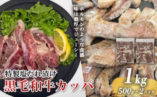 黒毛和牛カッパ(肉ホルモン) 特製塩だれ漬け 500g × 2パック
