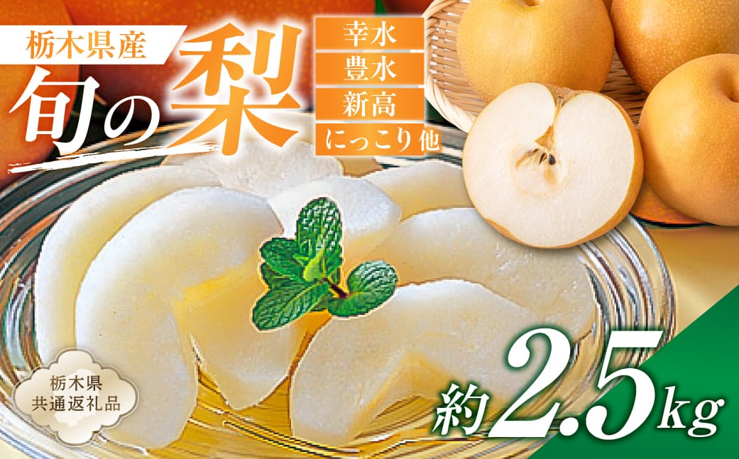 栃木県産 旬の梨 約2.5kg【栃木県共通返礼品】 ns110-002-1 【 梨 幸水 豊水 新高 にっこり フルーツ 果物 旬 】 (管理コード:ns110-002-1)