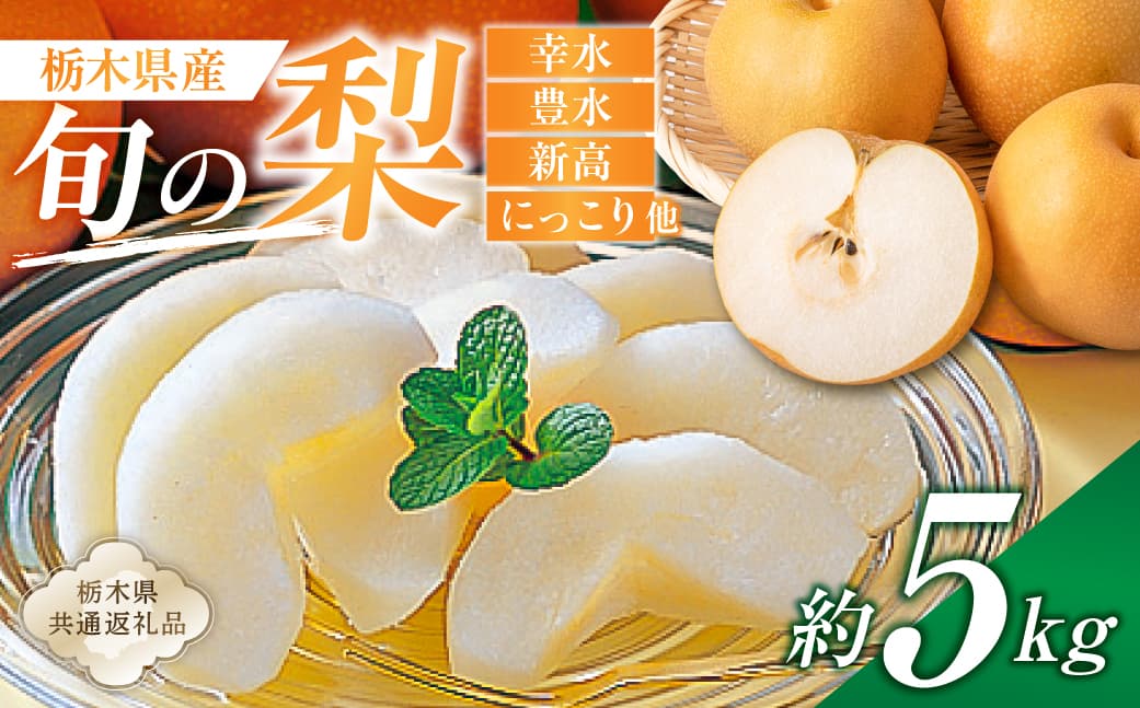 栃木県産 旬の梨 約5kg【栃木県共通返礼品】 ns110-002-2 【 梨 幸水 豊水 新高 にっこり フルーツ 果物 旬 】 (管理コード:ns110-002-2)