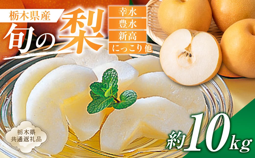 栃木県産 旬の梨 約10kg【栃木県共通返礼品】 ns110-002-3 【 梨 幸水 豊水 新高 にっこり フルーツ 果物 旬 】 (管理コード:ns110-002-3)