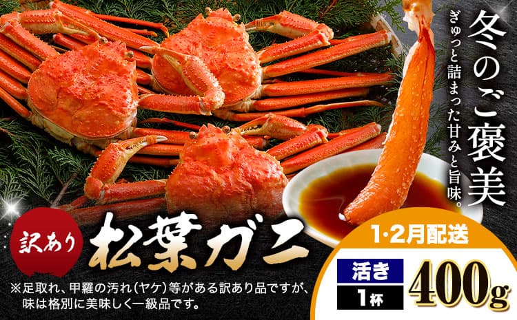 カニ 松葉ガニ 訳あり 400g×1杯 活き《1月・2月出荷》SOO合同会社 鳥取県 八頭町 送料無料 蟹 かに 姿 鍋 ズワイガニ ズワイ蟹 ボイル 松葉ガニ 訳アリ---yazu_soo_163_400g---
