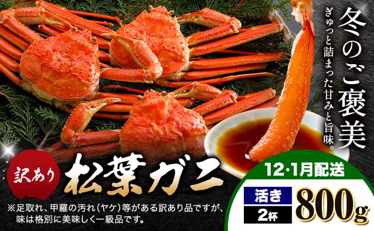 カニ 松葉ガニ 訳あり 400g×2杯 活き《12月上旬~1月末頃出荷》SOO合同会社 鳥取県 八頭町 送料無料 蟹 かに 姿 鍋 ズワイガニ ズワイ蟹 ボイル 松葉ガニ 訳アリ---yazu_soo_159_400g---