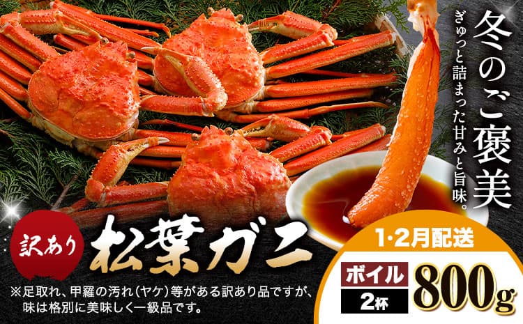 カニ 松葉ガニ 訳あり 400g×2杯 ボイル《1月・2月出荷》SOO合同会社 鳥取県 八頭町 送料無料 蟹 かに 姿 鍋 ズワイガニ ズワイ蟹 ボイル 松葉ガニ 訳アリ---yazu_soo_166_400g---