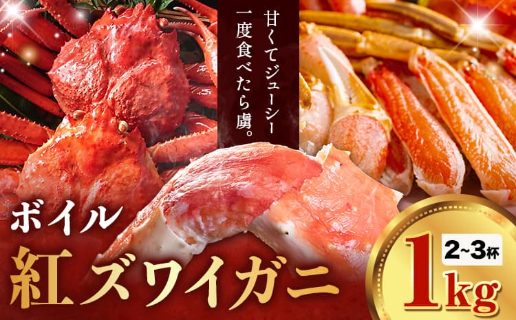 【魚介・海産物特集】カニ 紅ズワイガニ 1kg(2~3杯) ボイル《9月上旬-5月末頃出荷》SOO合同会社 鳥取県 八頭町 送料無料 蟹 かに 姿 鍋 ズワイガニ ズワイ蟹 ボイル ベニズワイ ベニズワイガニ---yazu_soo_185_1kg---