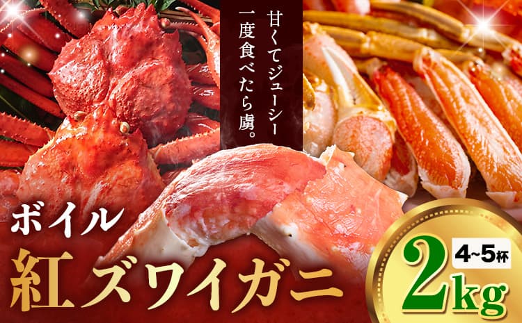 カニ 紅ズワイガニ 2kg(4~5杯) ボイル《9月上旬-5月末頃出荷》SOO合同会社 鳥取県 八頭町 送料無料 蟹 かに 姿 鍋 ズワイガニ ズワイ蟹 ボイル ベニズワイ ベニズワイガニ---yazu_soo_186_2kg---
