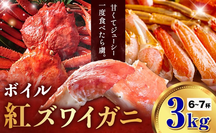 カニ 紅ズワイガニ 3kg(6~7杯) ボイル《9月上旬-5月末頃出荷》SOO合同会社 鳥取県 八頭町 送料無料 蟹 かに 姿 鍋 ズワイガニ ズワイ蟹 ボイル ベニズワイ ベニズワイガニ---yazu_soo_187_3kg---