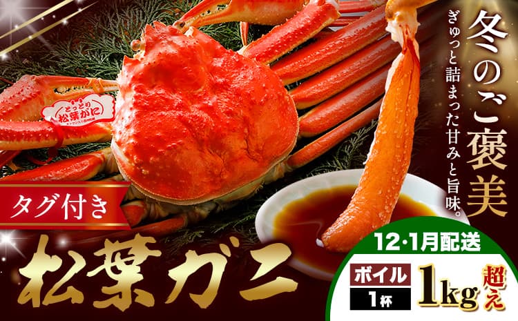 カニ 松葉ガニ ボイル 1kg超え×1杯《12月上旬~1月末頃出荷》SOO合同会社 鳥取県 八頭町 送料無料 蟹 かに 姿 鍋 松葉ガニ---yazu_soo_178_1kg---