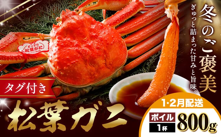 カニ 松葉ガニ ボイル 800g×1杯《1月・2月出荷》SOO合同会社 鳥取県 八頭町 送料無料 蟹 かに 姿 鍋 松葉ガニ---yazu_soo_184_400g---