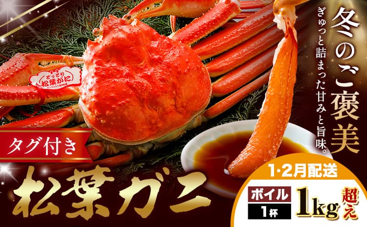 カニ 松葉ガニ ボイル 1kg超え×1杯《1月・2月出荷》SOO合同会社 鳥取県 八頭町 送料無料 蟹 かに 姿 鍋 松葉ガニ---yazu_soo_182_400g---