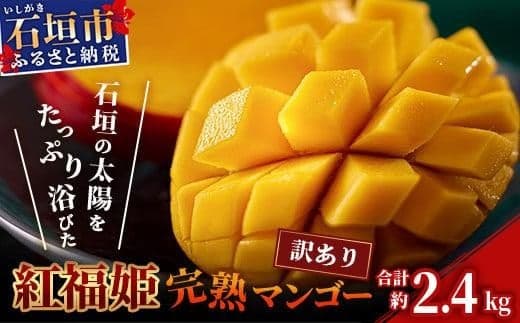 訳あり【2026年発送 予約受付分】「紅福姫ブランド」石垣島のマンゴー 約2.4kg 【沖縄県 石垣市 産地直送 旬 石垣島産 マンゴー 完熟マンゴー アーウィン種マンゴー】OT-02