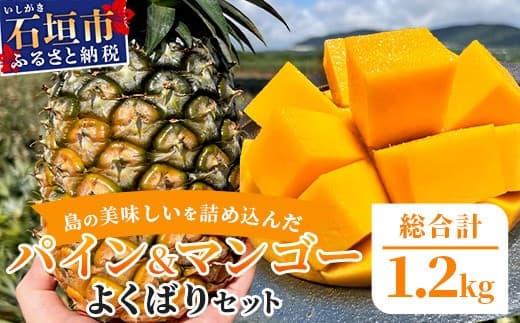 《2026年6月中旬以降発送》島の美味しいを詰め込んだ、パイン&マンゴーのよくばりセット!【 沖縄県 石垣市 石垣島 完熟 パイン パイナップル スナック マンゴー セット 詰め合わせ 産地直送 】TF-24_R8