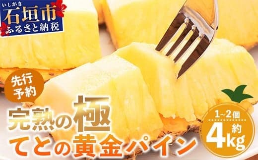 《2026年5月中旬以降順次発送》香りに溺れる!? 完熟の極 てとの黄金パイン大玉約4kg【 沖縄 石垣 ゴールデン 黄金 パイン パイナップル 完熟 大玉 セット フルーツ デザート 】TF-25_R8
