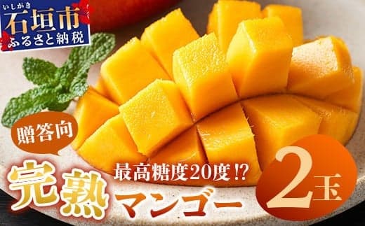 【先行予約】《2026年6月下旬~7月下旬発送》 最高糖度20度!? 完熟の極!石垣島マンゴー 2玉約900g【贈答向け】【 産地直送 完熟マンゴー アーウィン マンゴー 沖縄 八重山 石垣島産 】TF-6-1_R8