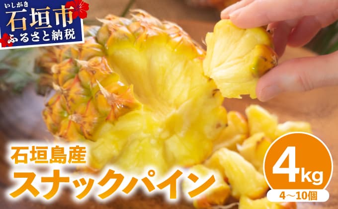 【2026年4月中旬発送】訳あり 石垣島産 スナックパイン 約4kg(4~10個)KP-01 | ふるさと納税 パイナップル 産地直送 フルーツ 果物 パイン 石垣 沖縄 沖縄県石垣市 石垣島