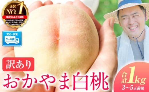 桃 もも【2026年先行予約】ご家庭用/訳あり おかやま白桃 もも 1kg 3~5玉前後 岡山県産《2026年6月下旬-9月下旬頃出荷》岡山県 浅口市 白桃 黄桃 白鳳 清水白桃 おかやま夢白桃 川中島白桃 白皇 黄金桃 果物 桃 2026 先行 桃 先行予約2026 桃 先行予約2026 桃 白鳳 桃 ---124_c1815_6c9c_26_9500_1kg--- (管理コード:124_c1815_6c9c_26_9500_1kg)