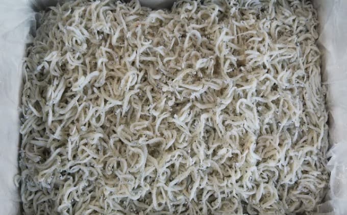 釜揚げしらす(冷凍)1kg