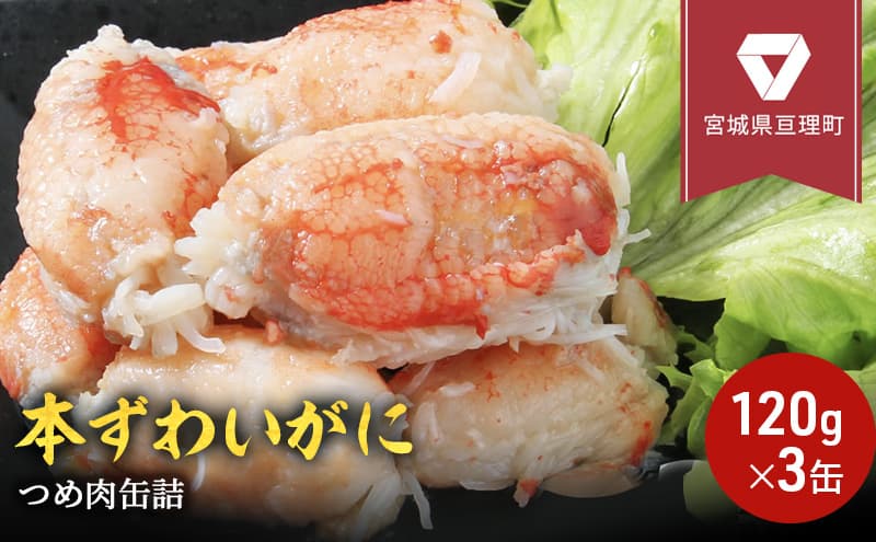 缶詰 かに 本ずわいがに つめ肉 120g × 3缶 セット