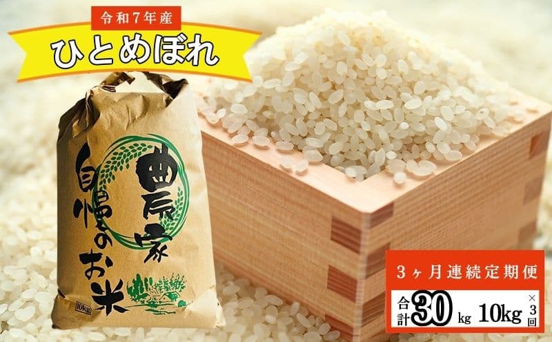 【3ヶ月連続定期便】農家直送!精米 令和7年度産 宮城県亘理町産 ひとめぼれ 10kg(計30kg)