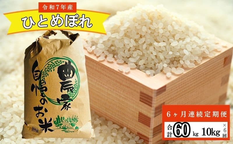 【6ヶ月連続定期便】農家直送!精米 令和7年度産 宮城県亘理町産 ひとめぼれ 10kg(計60kg)
