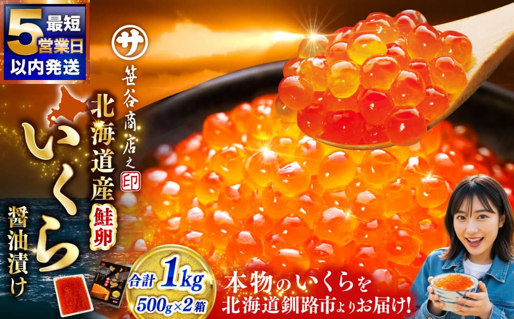 【 決済から5日程度で発送 】いくら 500g × 2箱 合計1000g 魚卵 醤油漬け 冷凍 海産物 魚介類 ご飯のお供 海鮮 海鮮丼 国産 北海道産 いくら醤油漬