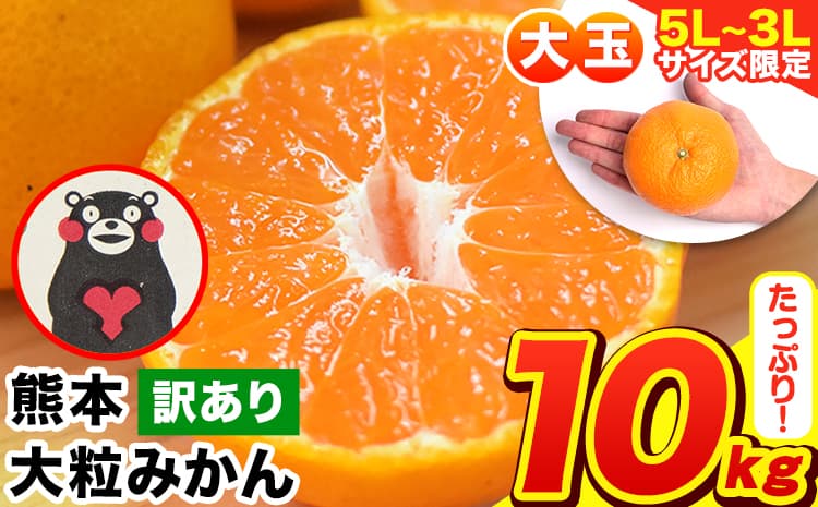 <先行予約>みかん 訳あり 大粒 ミカン 10kg 10キロ 熊本 ちょっと 訳あり 傷 5L~3Lサイズ 約10kg たっぷり 熊本県産 熊本県 期間限定 フルーツ 旬 柑橘 ご家庭用 長洲町 大粒《2027年1月中旬-2月末頃より出荷予定》---fn_notbmkn_bc1_r8_12000_10kg---