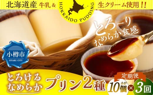 【3回定期便】 プリン 2種セット (ミルク ・ カスタード) 約900g (約90g×10個) (合計約2.7kg) 2種類 ぷりん 牛乳 洋菓子 菓子 お菓子 セット 定期便 北海道 小樽市 冷凍