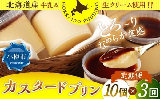 【3回定期便】 カスタードプリン 約900g (約90g×10個) (合計2.7kg) プリン ぷりん カスタード 洋菓子 菓子 お菓子 定期便 北海道 小樽市 冷凍