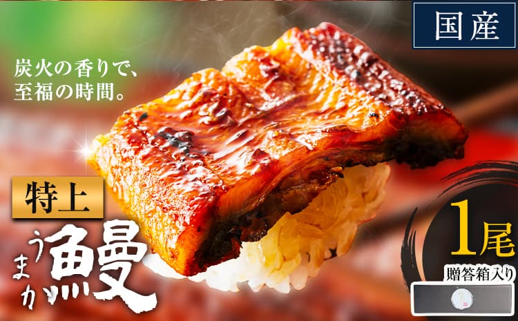 うなぎ 特上サイズ 1尾 贈答箱入り 国産 鰻 真空パック おすすめ うなぎの蒲焼 《30日以内に出荷予定(土日祝除く)》 ふるさとのうぜい 特上 簡易包装 ウナギ unagi 蒲焼 秋 冬 旬 配送時期 冷凍---mifune_lcl_1141_1dai---
