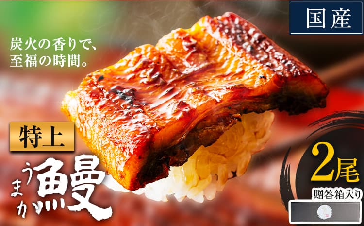 うなぎ 特上サイズ 2尾 贈答箱入り 国産 鰻 真空パック おすすめ うなぎの蒲焼 《30日以内に出荷予定(土日祝除く)》 ふるさとのうぜい 特上 簡易包装 ウナギ unagi 蒲焼 秋 冬 旬 配送時期 冷凍---mifune_lcl_1142_2dai---