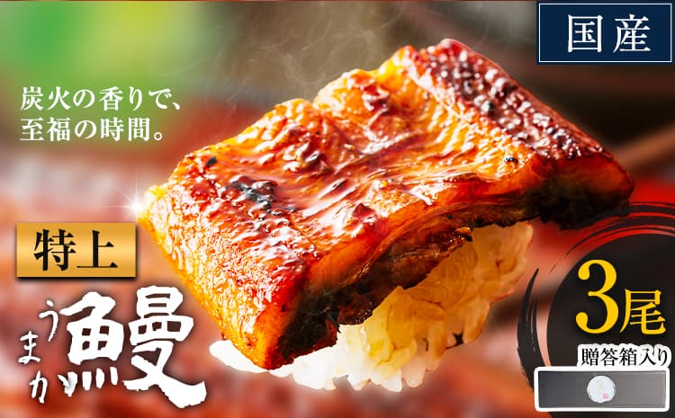 うなぎ 特上サイズ 3尾 贈答箱入り 国産 鰻 真空パック おすすめ うなぎの蒲焼 《30日以内に出荷予定(土日祝除く)》 ふるさとのうぜい 特上 簡易包装 ウナギ unagi 蒲焼 秋 冬 旬 配送時期 冷凍---mifune_lcl_1143_3dai---
