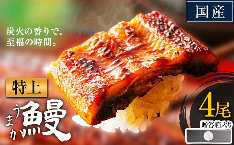 うなぎ 特上サイズ 4尾 贈答箱入り 国産 鰻 真空パック おすすめ うなぎの蒲焼 《30日以内に出荷予定(土日祝除く)》 ふるさとのうぜい 鶏炭火焼 特上 簡易包装 ウナギ unagi 蒲焼 秋 冬 旬 配送時期 冷凍---mifune_lcl_1144_4dai---
