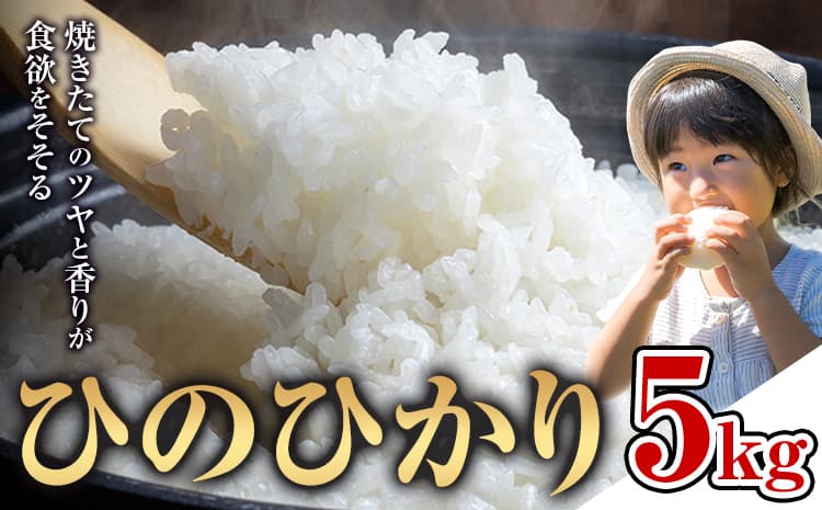 【お米特集】米 ひのひかり 米 計5kg 《30日以内に出荷予定(土日祝除く)》 ヒノヒカリ お米 こめ 熊本県産 精米 ブランド米 ご飯 ---mifune_nsm_6_5h---