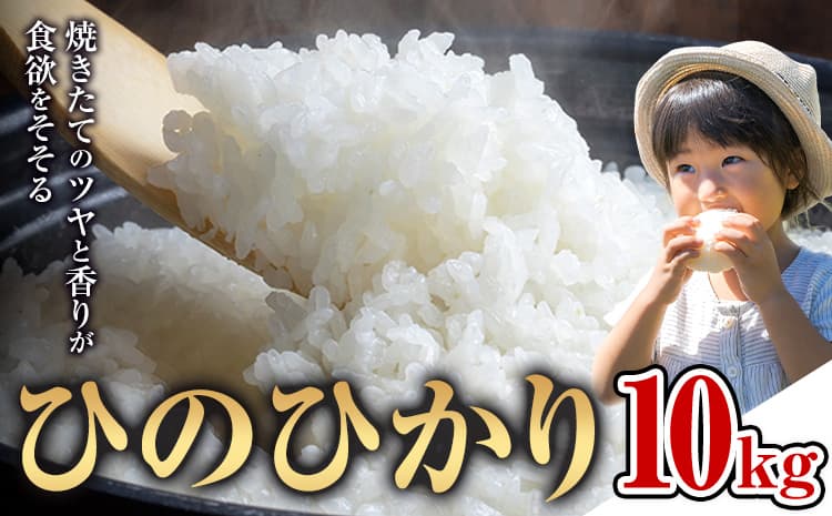 【お米特集】米 ひのひかり 米 計10kg 《30日以内に出荷予定(土日祝除く)》 ヒノヒカリ お米 こめ 熊本県産 精米 ブランド米 ご飯 ---mifune_nsm_7_10h---