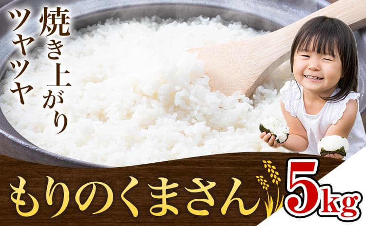 【お米特集】米 もりのくまさん 米 計5kg 《30日以内に出荷予定(土日祝除く)》 お米 こめ 熊本県産 精米 ブランド米 ご飯 ---mifune_nsm_4_5m---